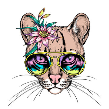 Ocelot head in sunglasses. Wild cat with an exotic flower. Vector illustration in hand-drawn style. Image for printing on any surface