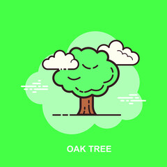 Oak tree green background with white clouds flat concept design