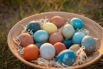 Easter eggs in a wooden plate on a background of green grass