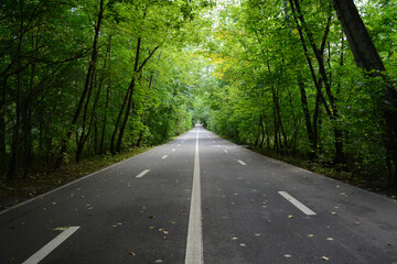 Fototapeta na wymiar MOSCOW, RUSSIA - September 1, 2020: The road full of trees in Sokolniki Park