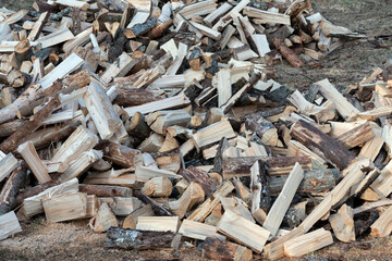 Pile of firewood on a heap. Coniferous and deciduous stacks of firewood.
