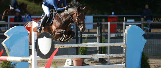 Jumping horse in cutout with rider while jumping over an obstacle from left to right..