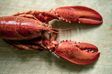 red lobster on a board, nacka, sverige, stockholm,sweden