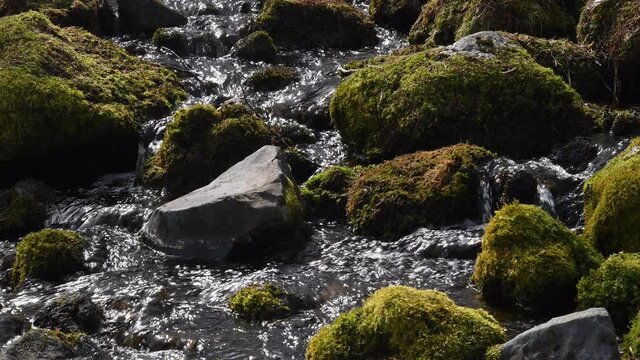ふきだし公園の雪解け水  北海道京極町の観光イメージ