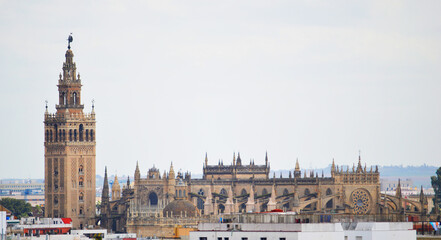 Fototapeta na wymiar Giralda and the Cathedral of Seville, Spain