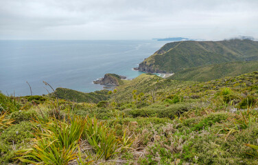 Cape Reinga in New Zealand