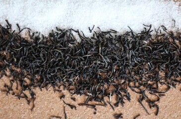 Top view of sugar and tea leaves. Natural background