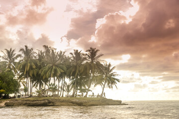 Sunset palm trees indonesia © Kamila