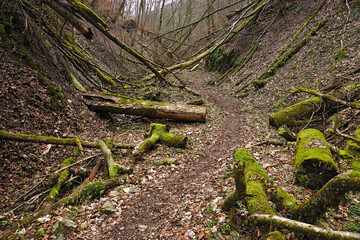 Wandern auf der Schwäbischen Alb bei Schlattstall durch die Lange Steige