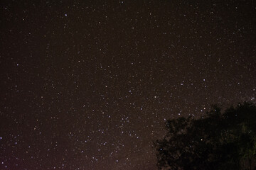starry night sky