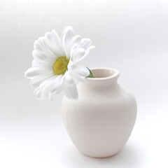 beautiful white and yellow daisies in a white matte vase