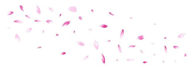 Color Cherry Petal Vector White Background. Pastel Air Rose Petal Backdrop. Sakura Petal Spa Frame. Floral Flower Petal Product.