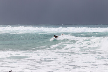 surfing in the sea