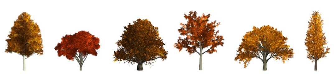 Set of autumn trees