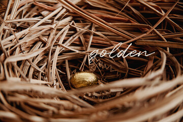 Golden Easter Egg in Nest