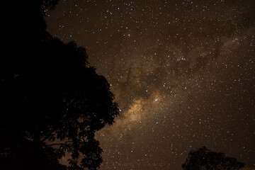 via lactea