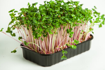 Micro greens perfect fresh vegetables, herbs and greens with high levels of antioxidants, vitamins, minerals and enzymes