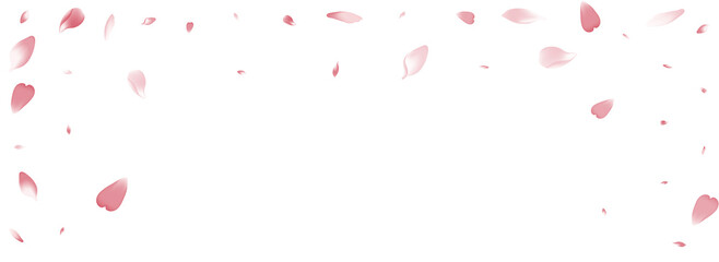Fototapeta na wymiar White Lotus Petal Vector White Background. Color