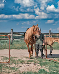 Obraz premium Young beautiful girl stands next to a horse on a summer farm.