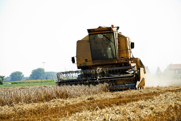 Obraz premium moissonneuse