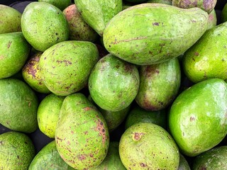 A collection of Avocado fruits. Arranged neatly on the supermarket display rack. Fresh Organic Food. Avocado Background