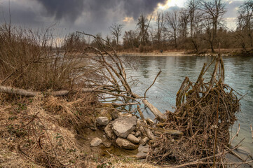 wilderness with the fallen trees on the river 