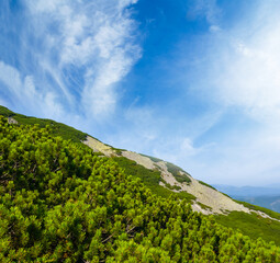mount slope with forest on blue sky background