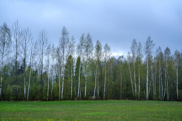 Fototapeta premium country landscape with green meadow and blue sky above