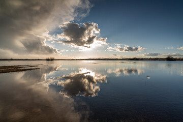 Backwaters of the Narew River