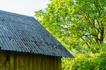 countryside house garden backyard in summer with old buildings and decorations