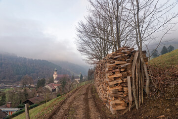 Baden-Württemberg - Münstertal/Schwarzwald - Wandern im Münstertal - Holzscheite am Weg