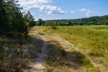 country landscape with green meadow and blue sky above
