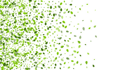 Lime Greens Spring Vector Pattern. Flying Leaf