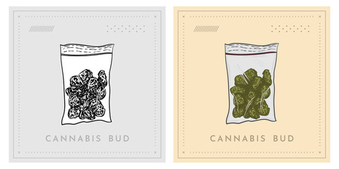 Marijuana buds in bag Cannabis retro vintage illustration