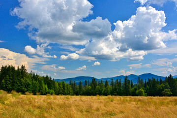 Lovely scenery in summer. Grassy meadow in mountains and blue sky width white clouds, Low Beskid (Beskid Niski), Poland