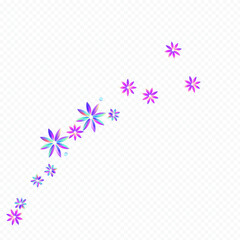 Light Petal Luxury Transparent Background.