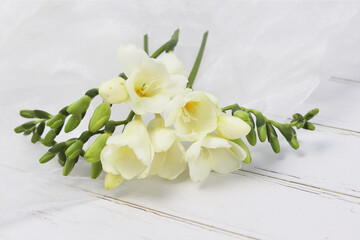 white freesias on a light background and tulle fabric