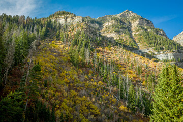 Remote Rugged Rocky Mountain Fall Colors