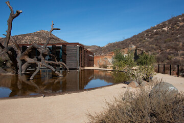 Designer garden in Baja California