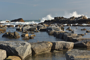 pejzaż morski © EwaAF