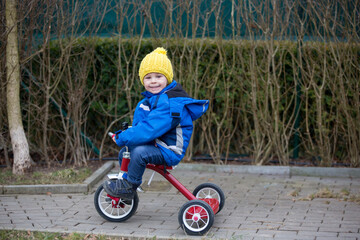Toddler child, riding little trycicle in the park