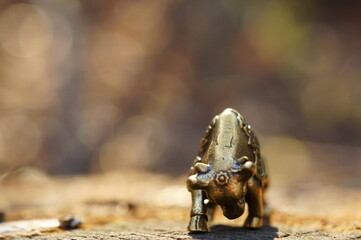 Metal bull close-up. Symbol of the year 2021.