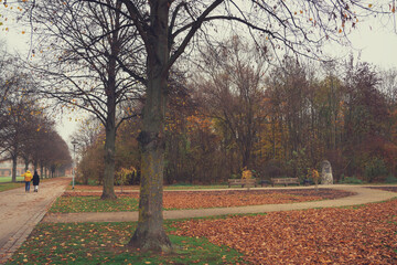 autumn park in ingolstadt bavaria germany