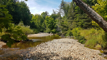 Fototapeta na wymiar Creek flowing through a scenic mixed forest.