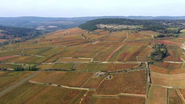 Vignoble de Bourgogne en automne