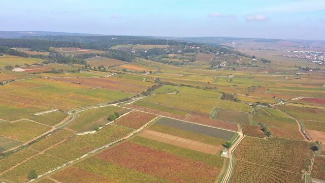 Vignoble de Bourgogne en automne