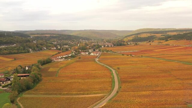 Vignoble de Bourgogne en automne