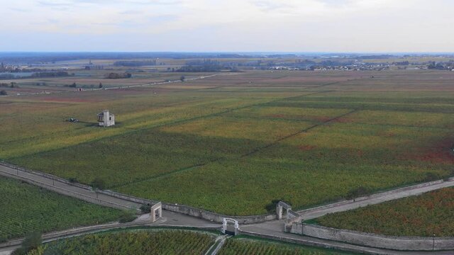 Vignes Clos de Vougeot en Bourgogne