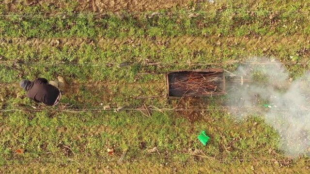 Brulage des sarments en Bourgogne