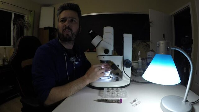 Biologist examining insect samples at night